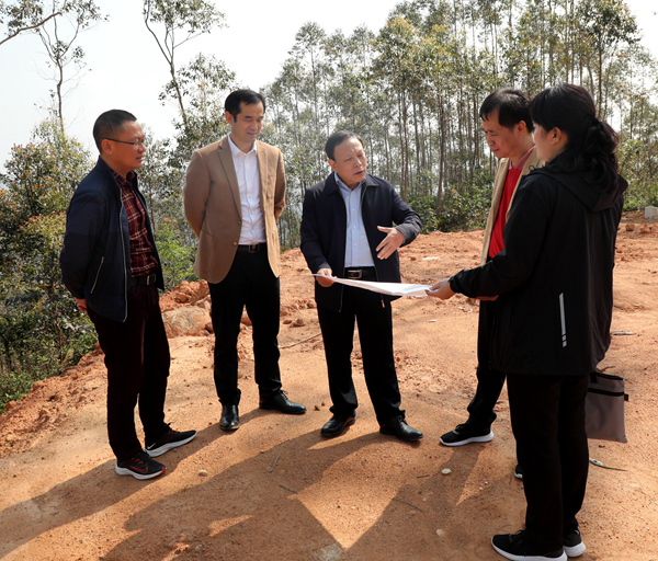 1.唐善茂在钦州市花岗岩矿山项目了解推进情况(苏世峰 摄).jpg