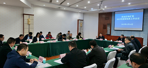 会议现场(曾奕璇 摄).jpg