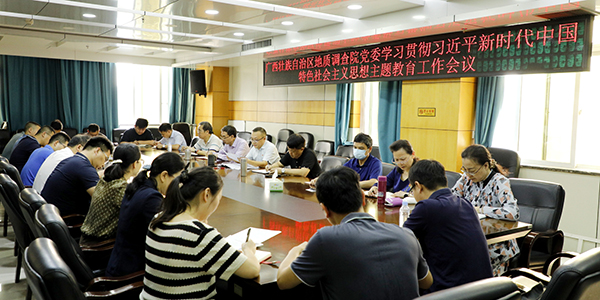 广西地调院学习贯彻习近平新时代中国特色社会主义思想主题教育工作会议(黄雄基 摄).jpg